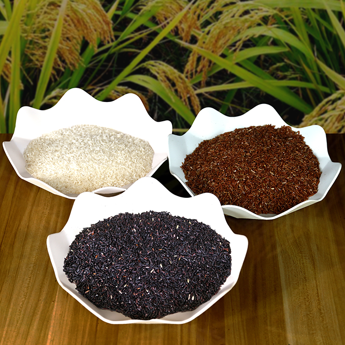 广西象州农家米（三色米）10斤装/袋正常区域包邮