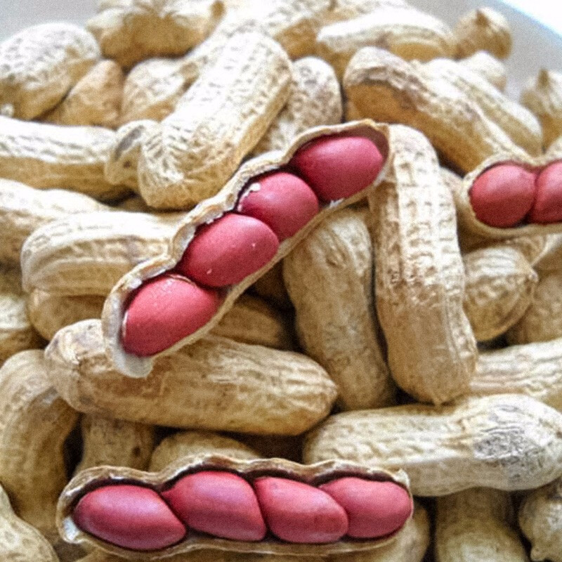 【红花生】宋丫头家高山农家种植红花生