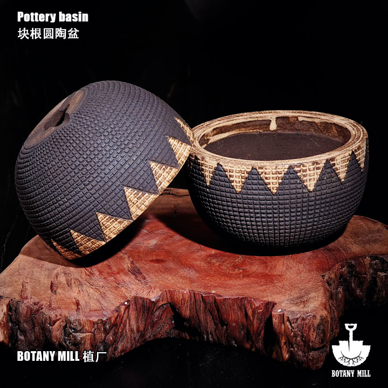 BOTANY MILL植厂 块根圆陶盆 双色牙齿纹 透气控养块根多肉盆景盆