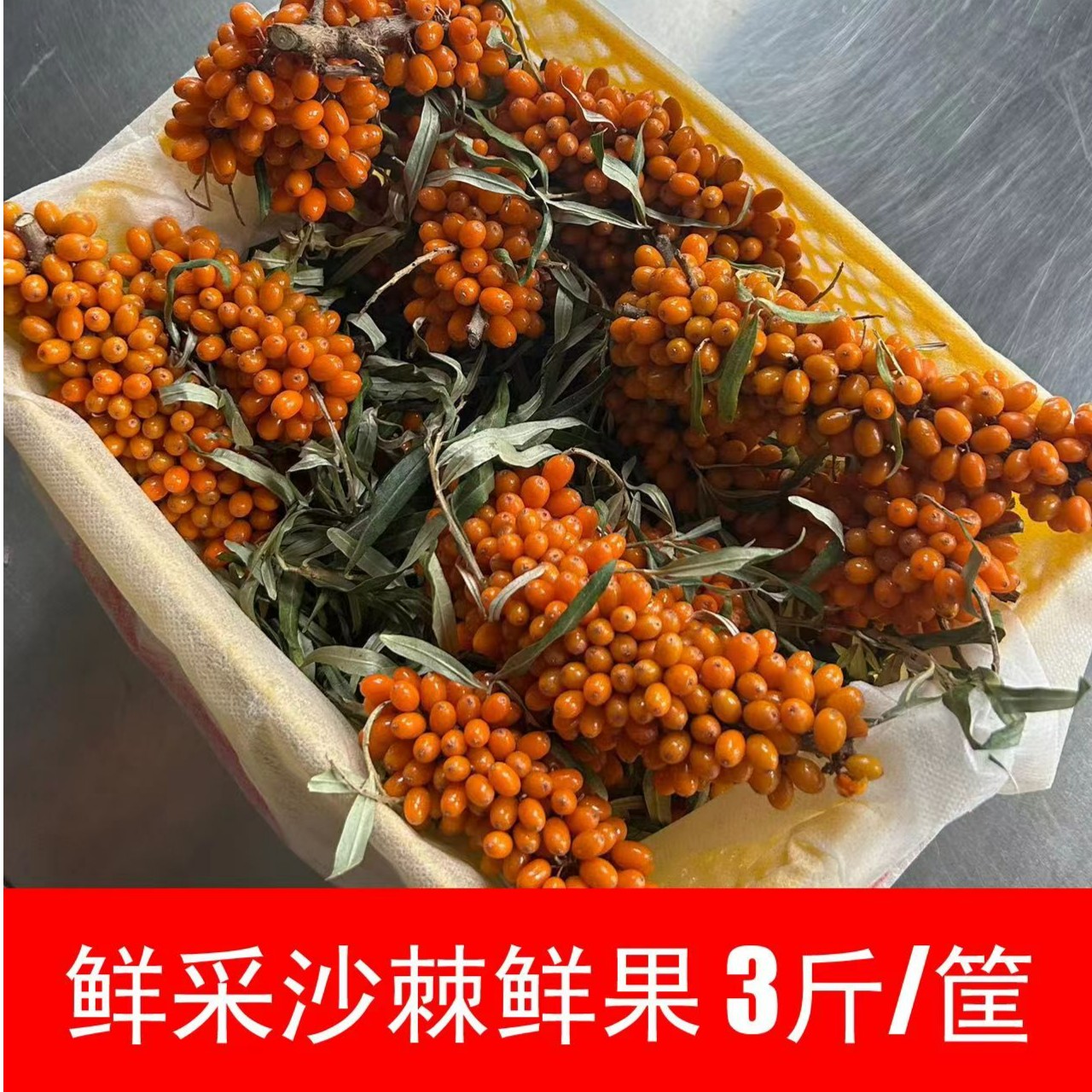 沙棘鲜果三斤每筐   1500克/筐