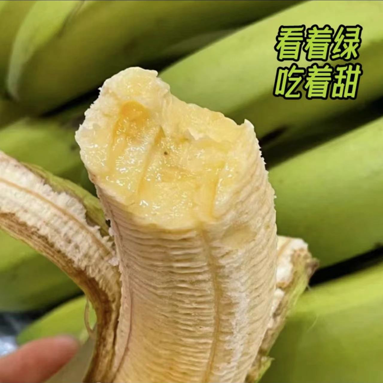 新鲜云南高山绿皮甜蕉软糯香甜自然采摘当季水果自然熟绿皮香蕉箱