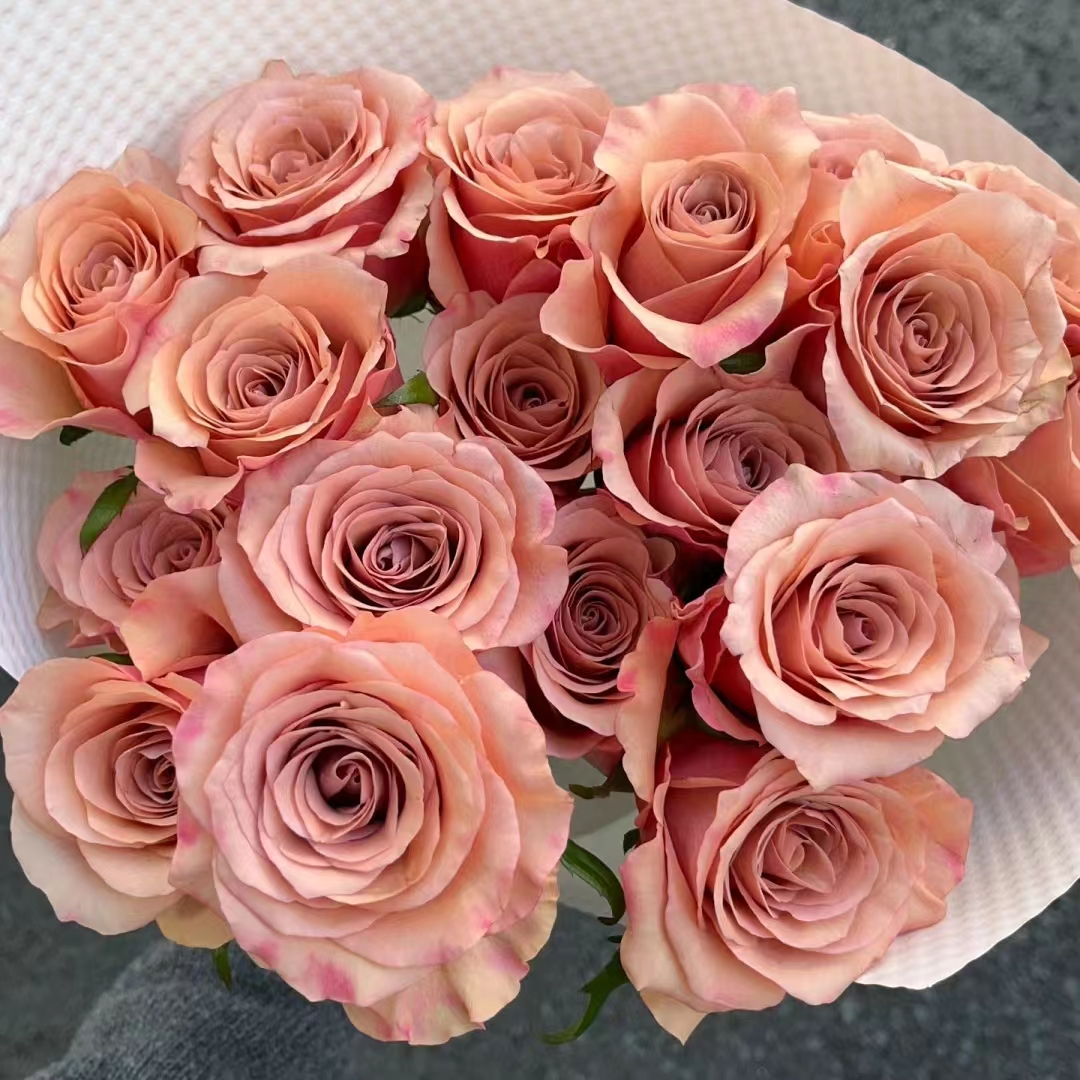 顺顺 莫泊 玫瑰18支+2支防损 拍2单以上包邮 发货不支持退款