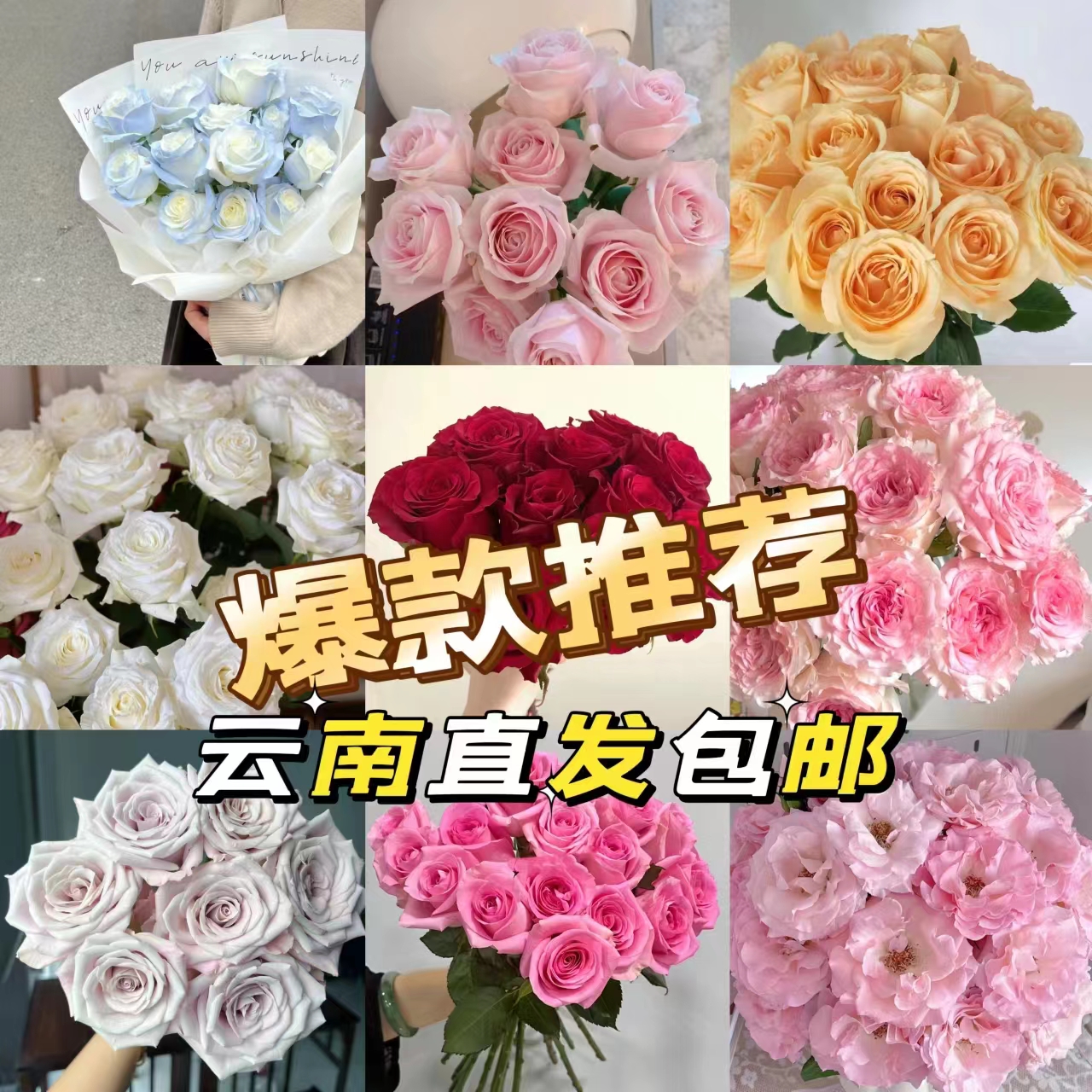 2号 顺顺云南基地直发 玫瑰套餐 已发货不支持退货