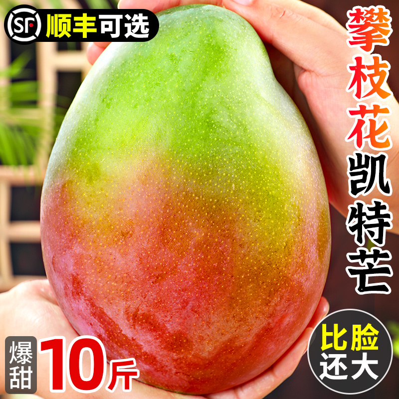 新鲜现摘现发水果芒果酸甜攀枝花凯特大芒果