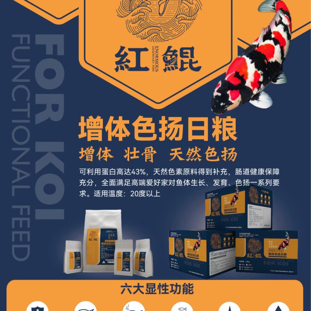 红鲲锦鲤增体色扬健康营养优质品质日粮(福袋勿拍)