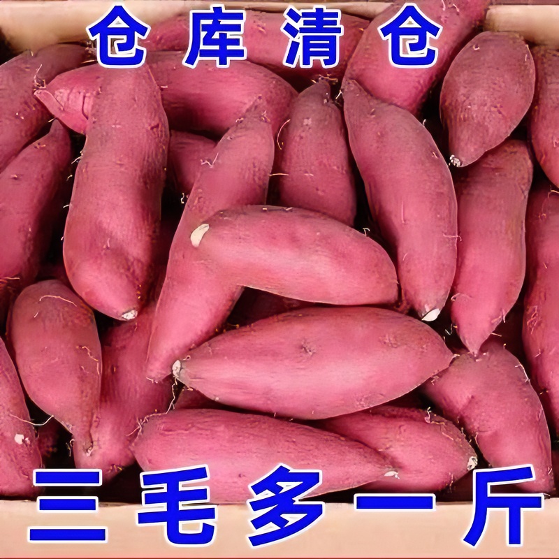新鲜超甜西瓜红红薯1/9斤沙地蜜薯番薯紫薯烟薯板栗薯地瓜蔬菜