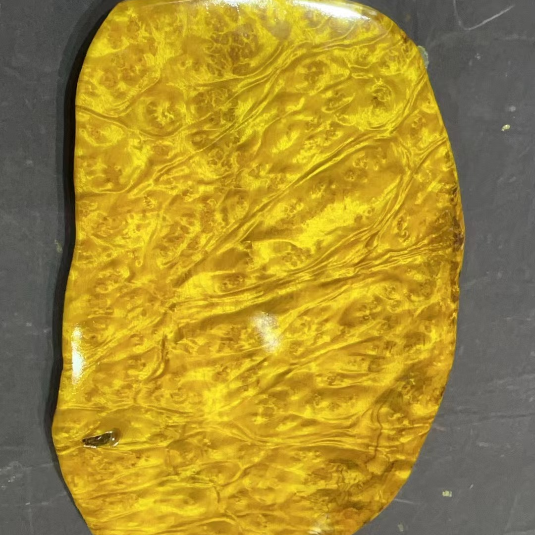 缅甸黄金樟小干泡