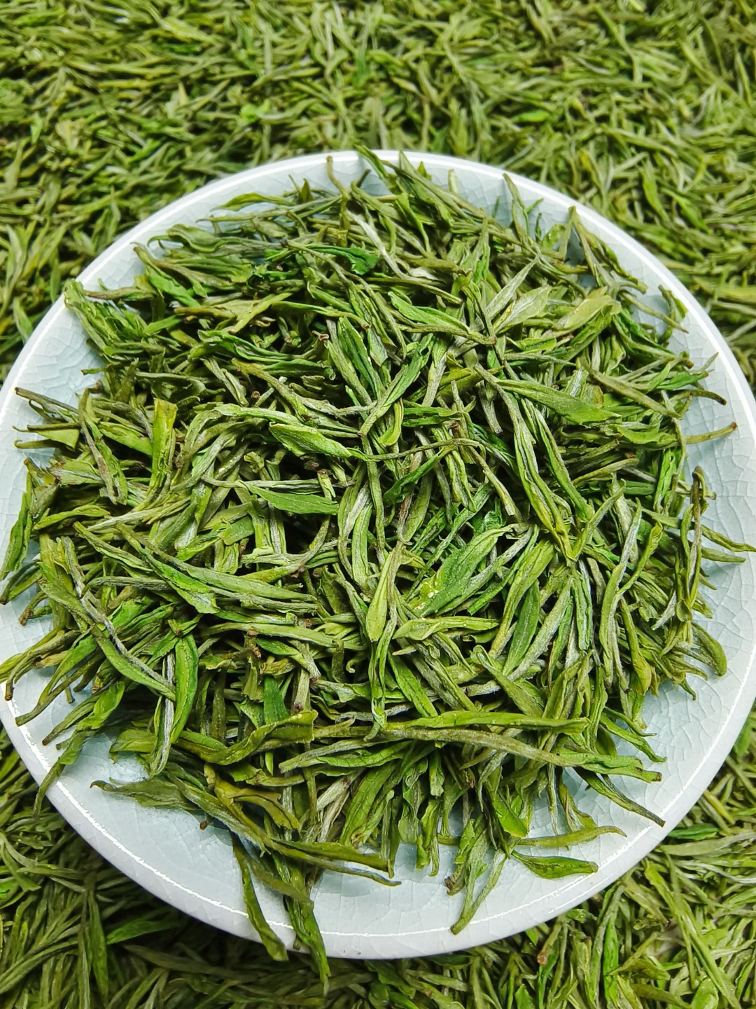 2025新茶涢峰白茶清香回甘（安陆特产）