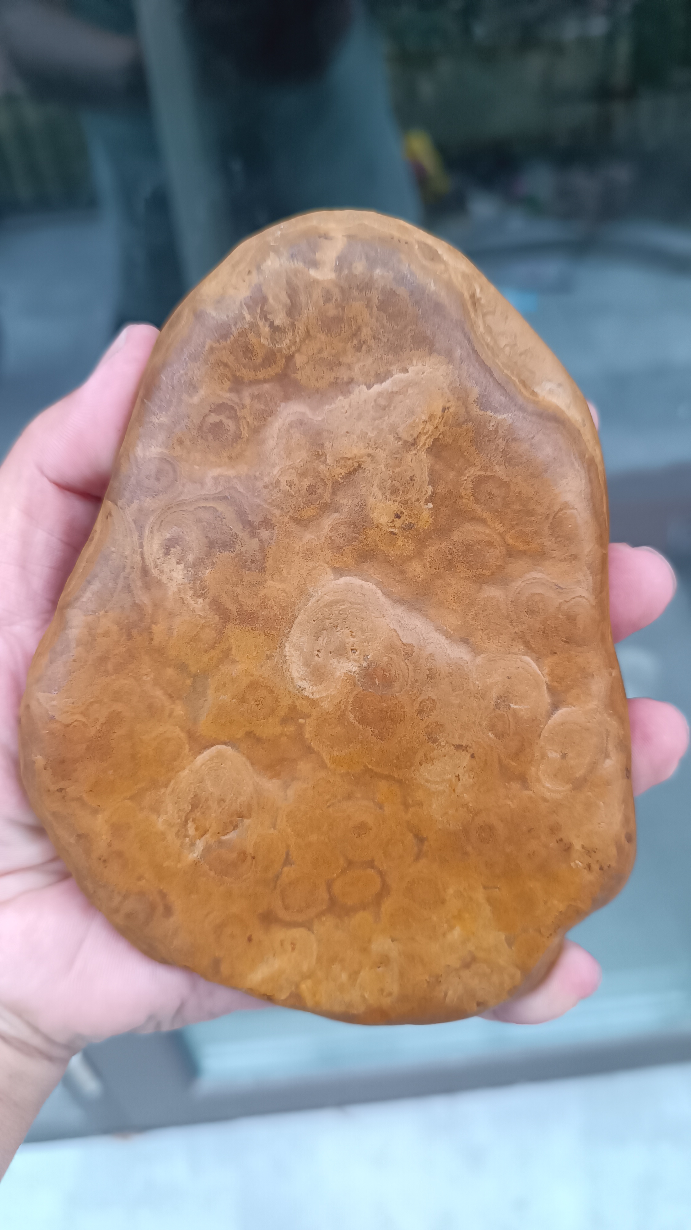 黄蜡石晶蜡凤尾纹，板子，皮纹漂亮，放杯盏很舒适