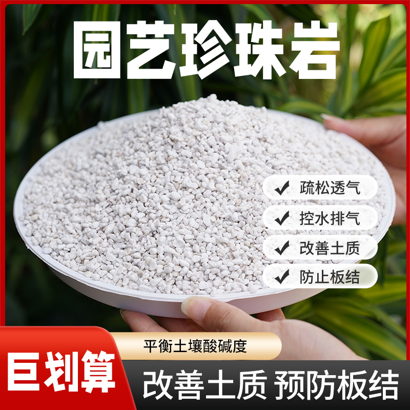 改善土质珍珠岩多肉园艺颗粒兰花植料小兰花多肉珍珠岩养花专用