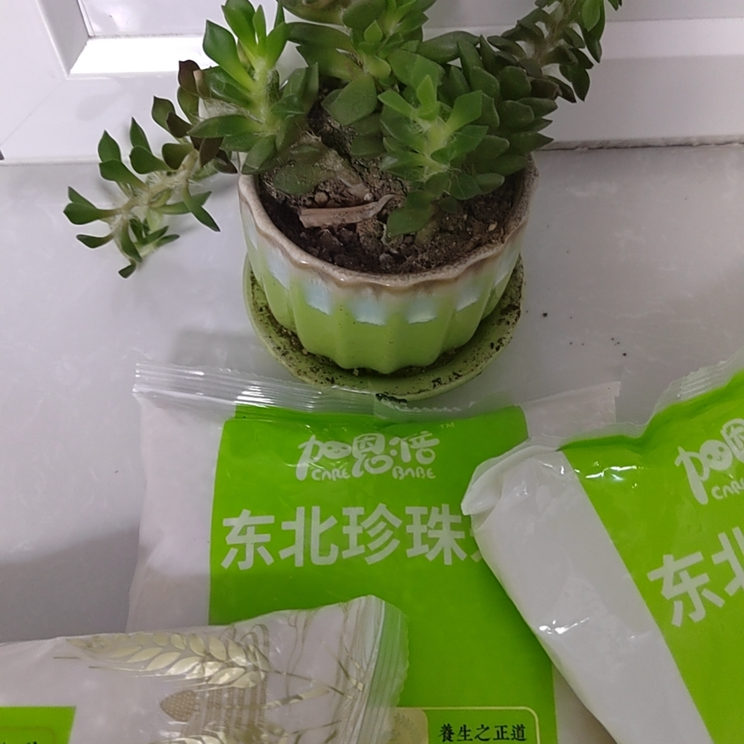 到手一包700克  破损丢件联系客服花卉/绿植盆栽商家