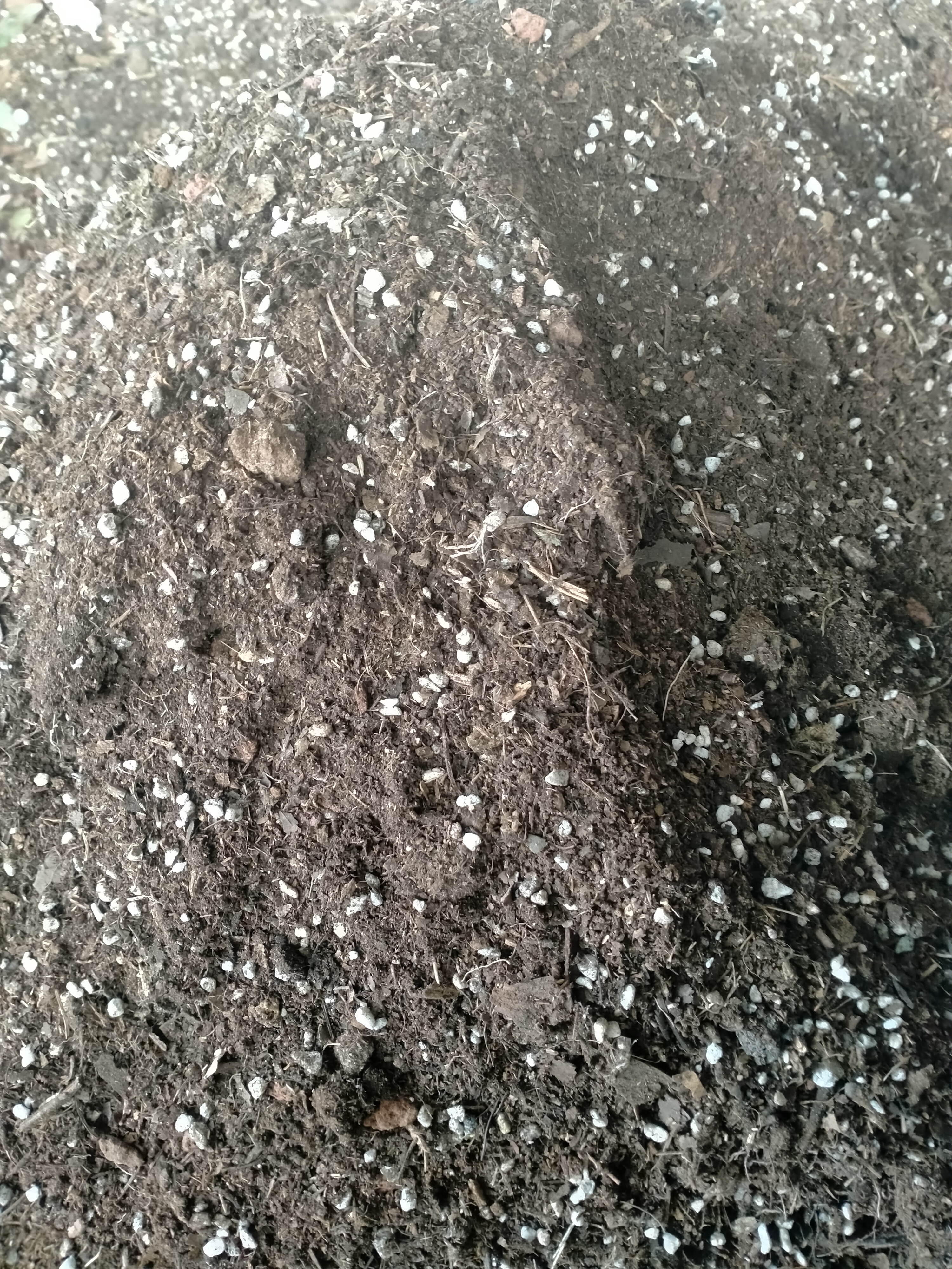 杨春天多肉玉树营养土