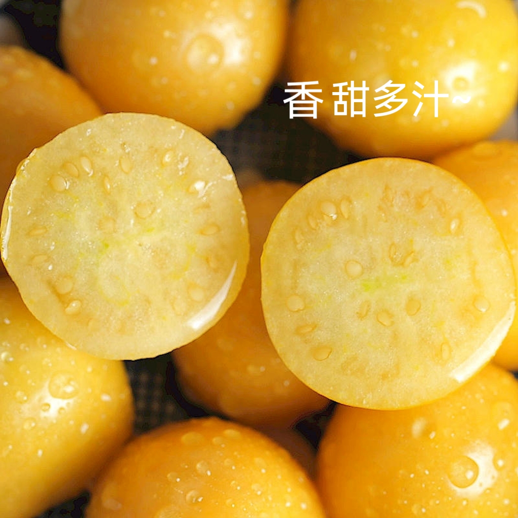 黑龙江应季乌斯浑菇娘鲜果香甜多汁5斤包邮（市场时价）