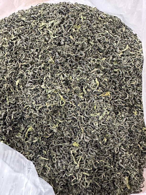 崂山绿茶2025年春茶浓豆香卷曲茶