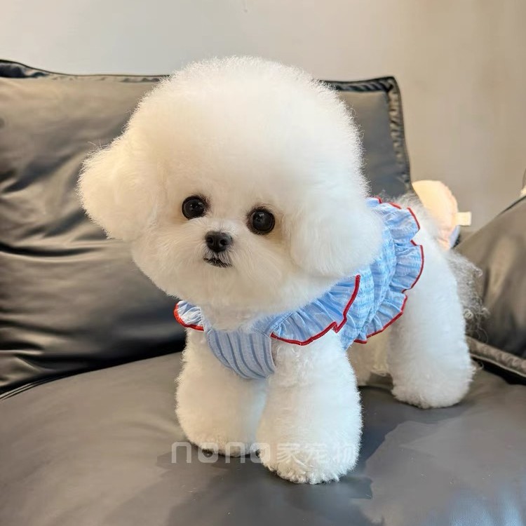 小狗狗衣服夏季薄款条纹大蝴蝶结飞袖吊带裙宠物比熊泰迪猫咪衣服