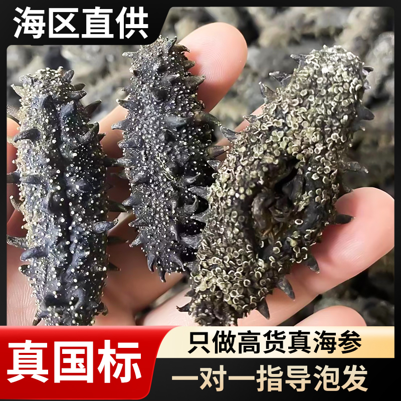 国标海参 大连蚂蚁岛 头茬秋参  纯淡干14-18倍泡发 60-90头 一斤