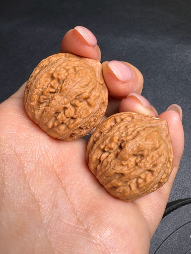 文玩核桃麻核桃秋子手捻野生小尺寸小核桃指尖文玩