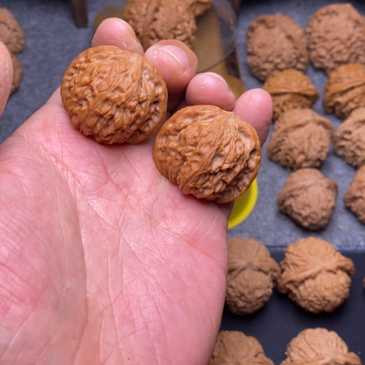 【闪购商品】文玩核桃把件35磨盘