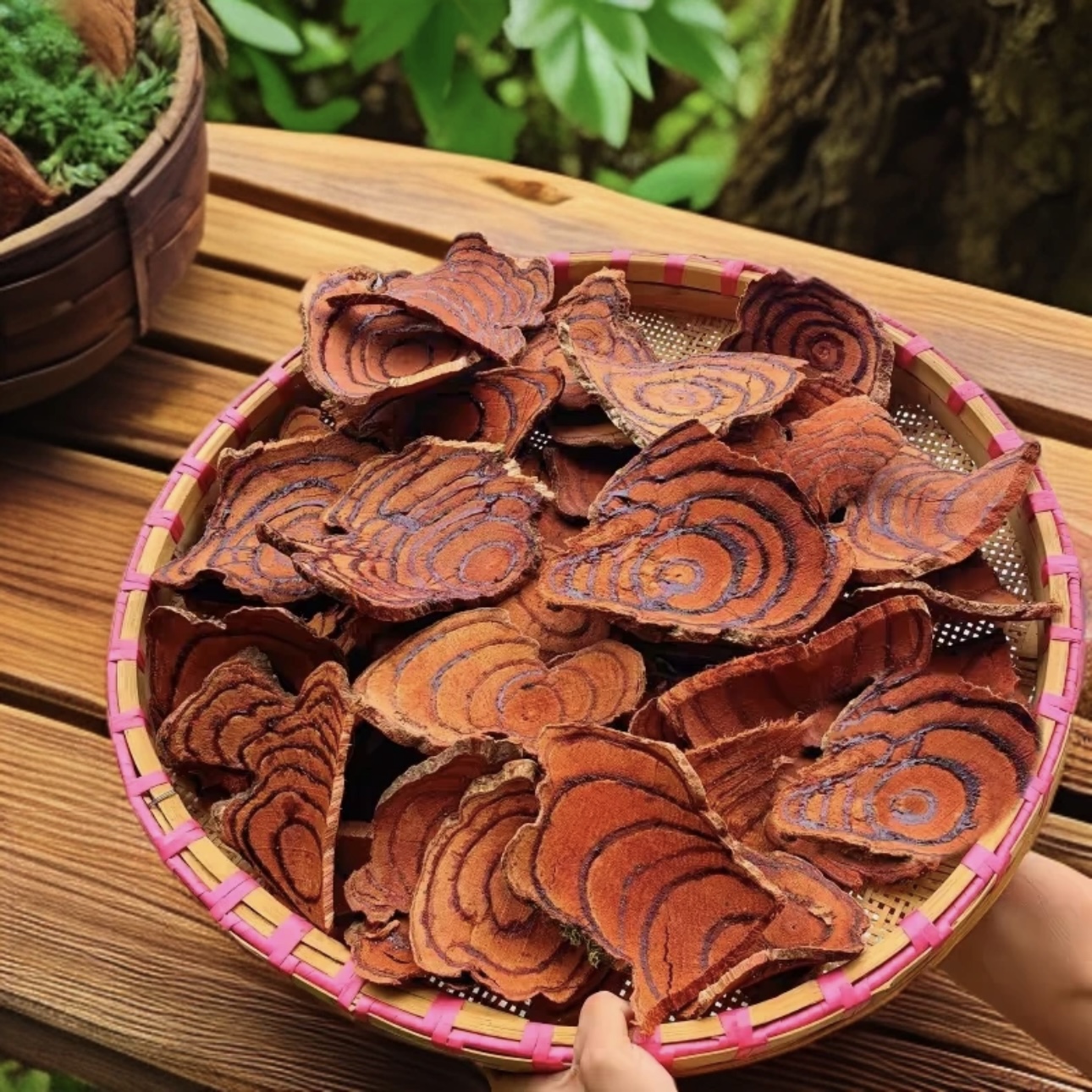 精选山货特产-鸡血藤 500g 可泡水可搭配枸杞