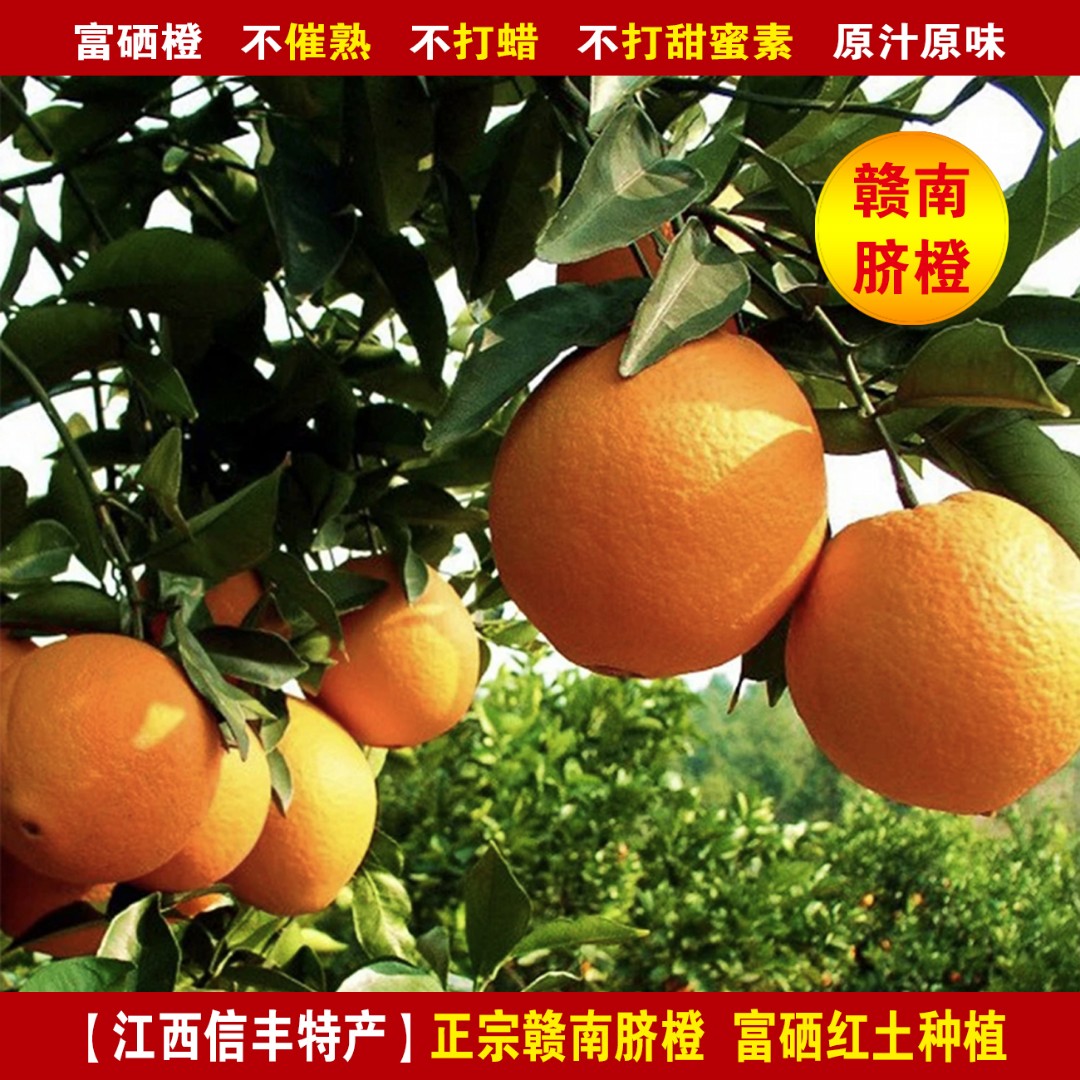 江西信丰特产正宗赣南脐橙带箱10斤5斤现摘现发香甜爆汁维C鲜甜