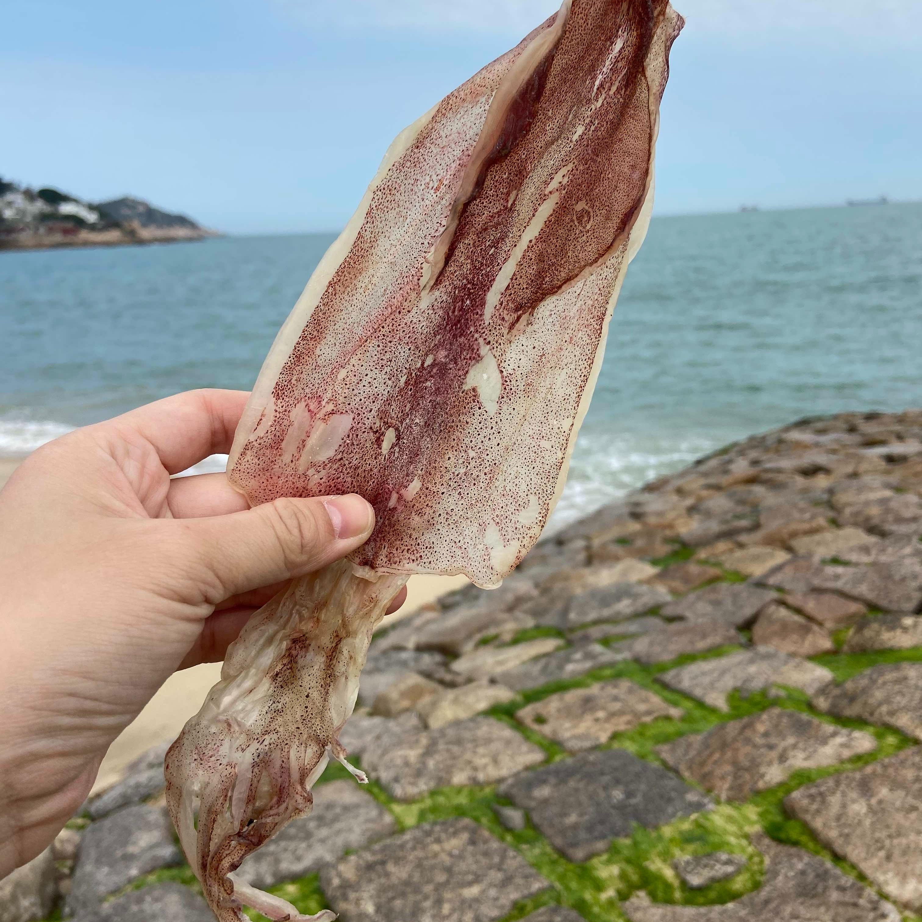 东山岛鱿鱼公250克/500克/包