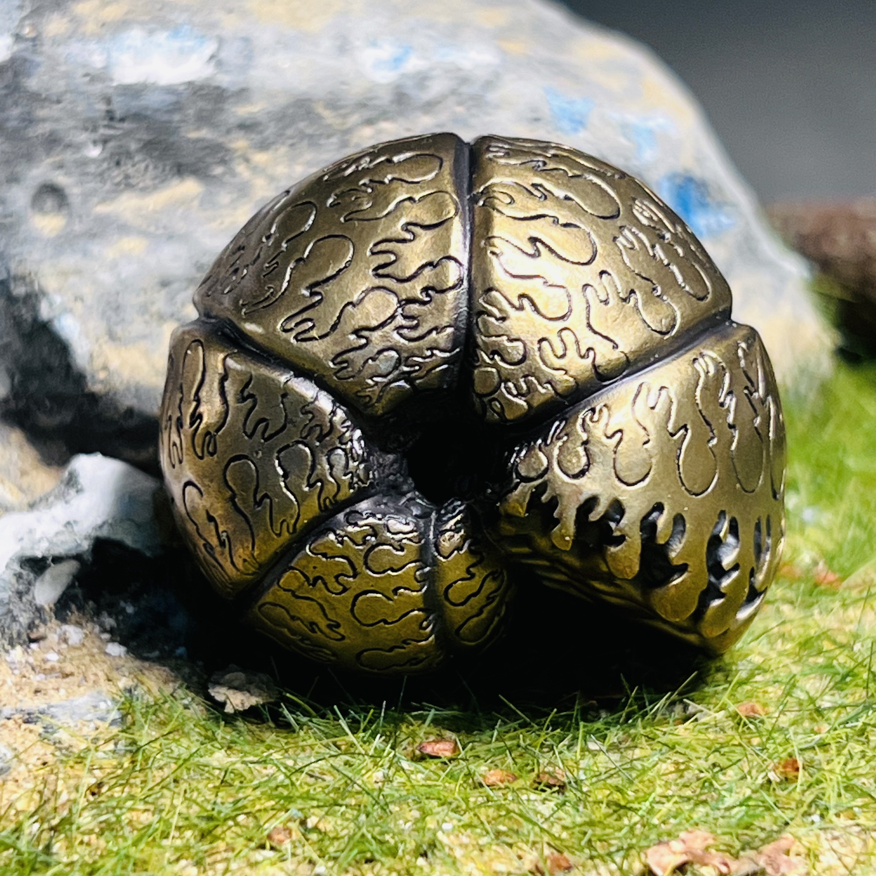 3D 1:1 寿昌道比赫菊石铜雕|化石工艺品|桌面摆件