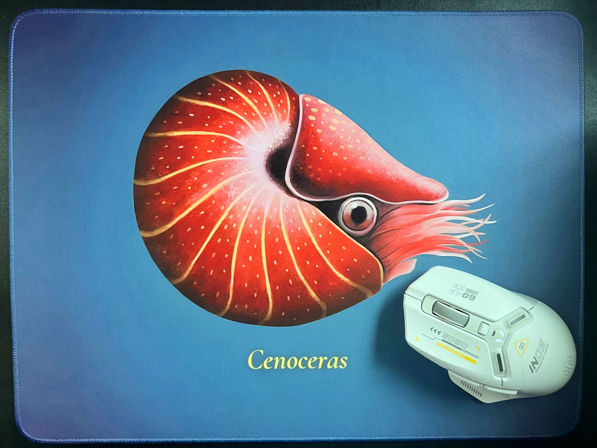 【远古星球】限量远古生物创意办公教学桌垫-新生角石个性通用便携