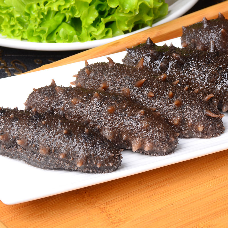 鲜活海参(抖音小时达)