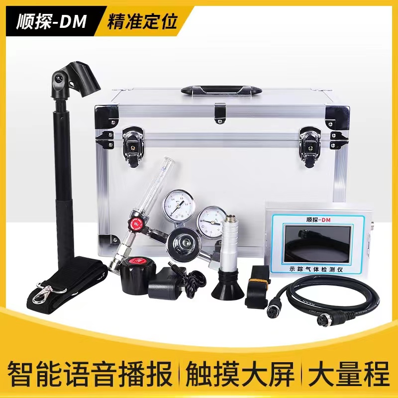 DM气体检测仪经济实惠好用不贵型