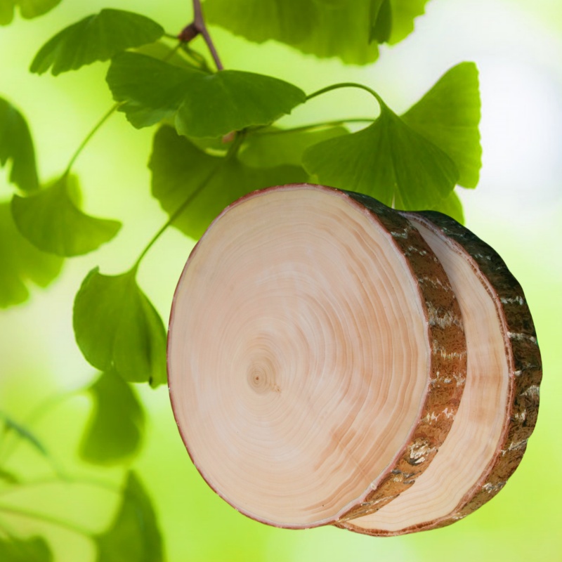 天然银杏木整木家用商用厨师带皮自然园白果木砧板直播间一物一拍