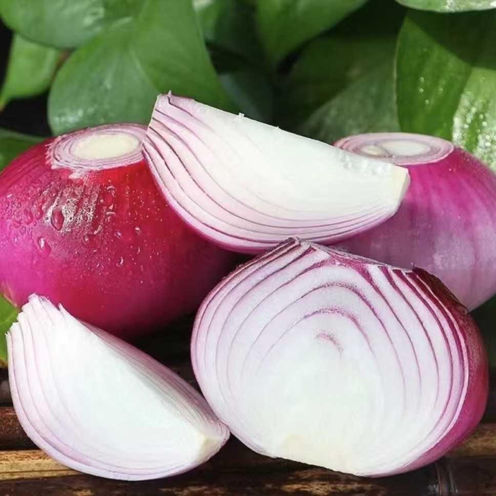 3斤云南露天洋葱 新鲜蔬菜农家现挖可炒肉凉拌食用