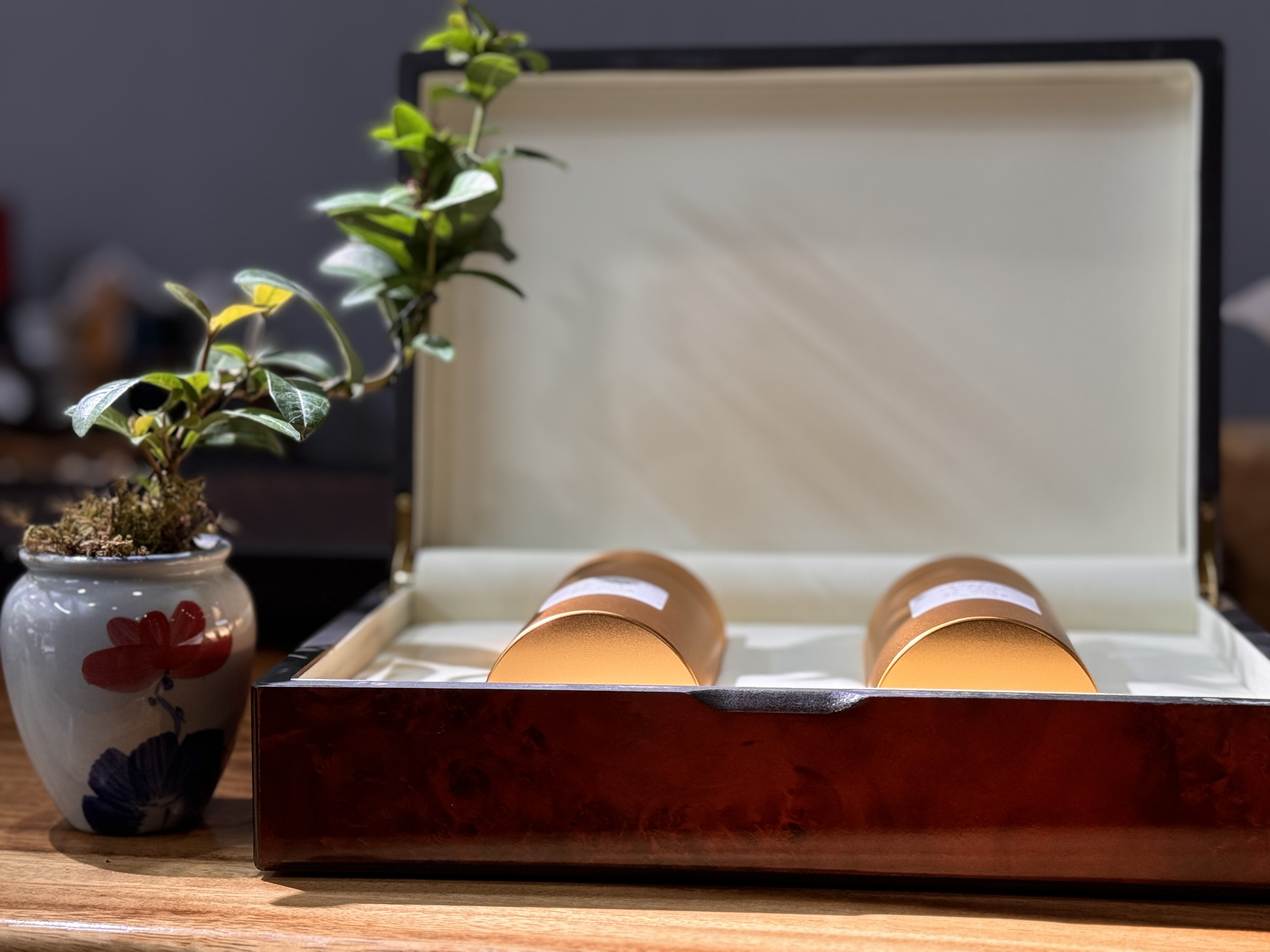 乌岽大庵特级老丛单丛名丛合集，90克一提，一罐45克，两罐90克