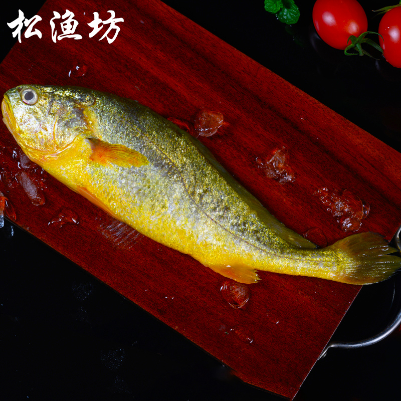 大黄鱼