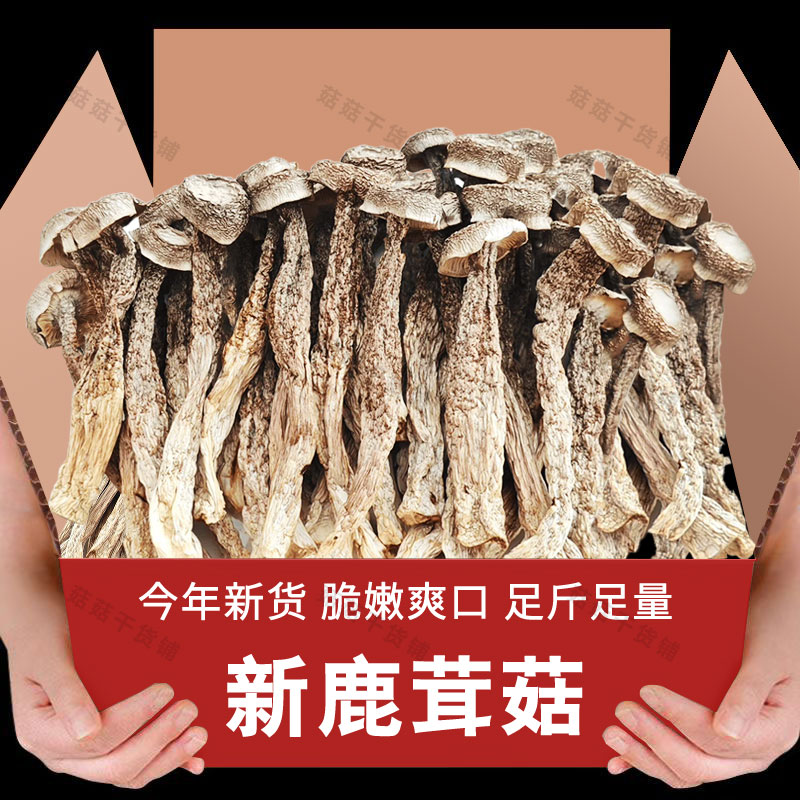 [新货无干燥剂发货]鹿茸菇菌菇干货炒腊肉农家特产脆脆菇菌菇炖汤