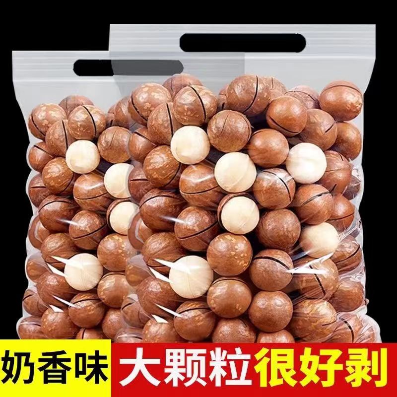大颗粒整箱批发奶香味夏威夷果整箱发货散装新鲜整箱发出夏威夷果