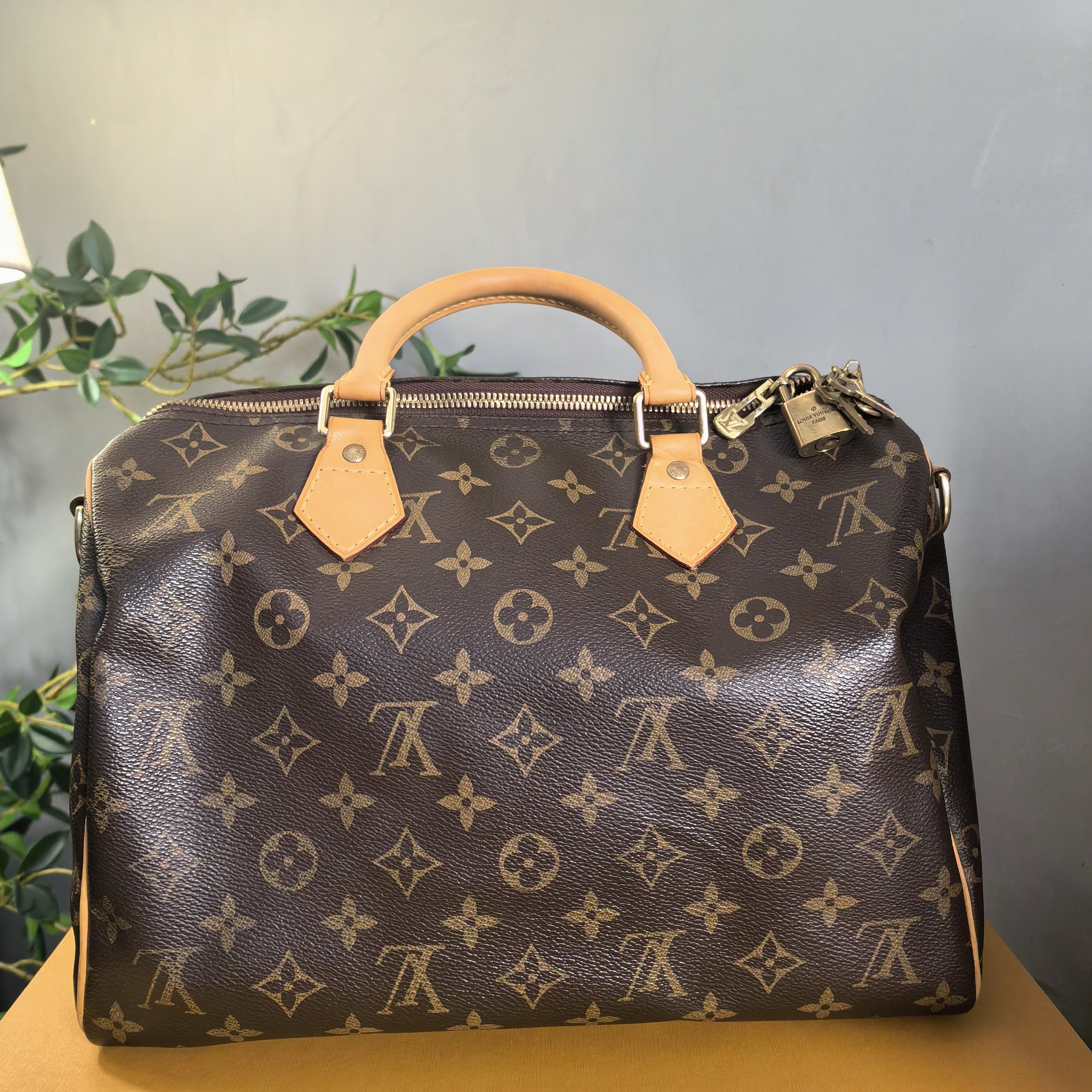 95新 LouisVuitton/路易威登 【如意严选】/枕头30肩带款/全原
