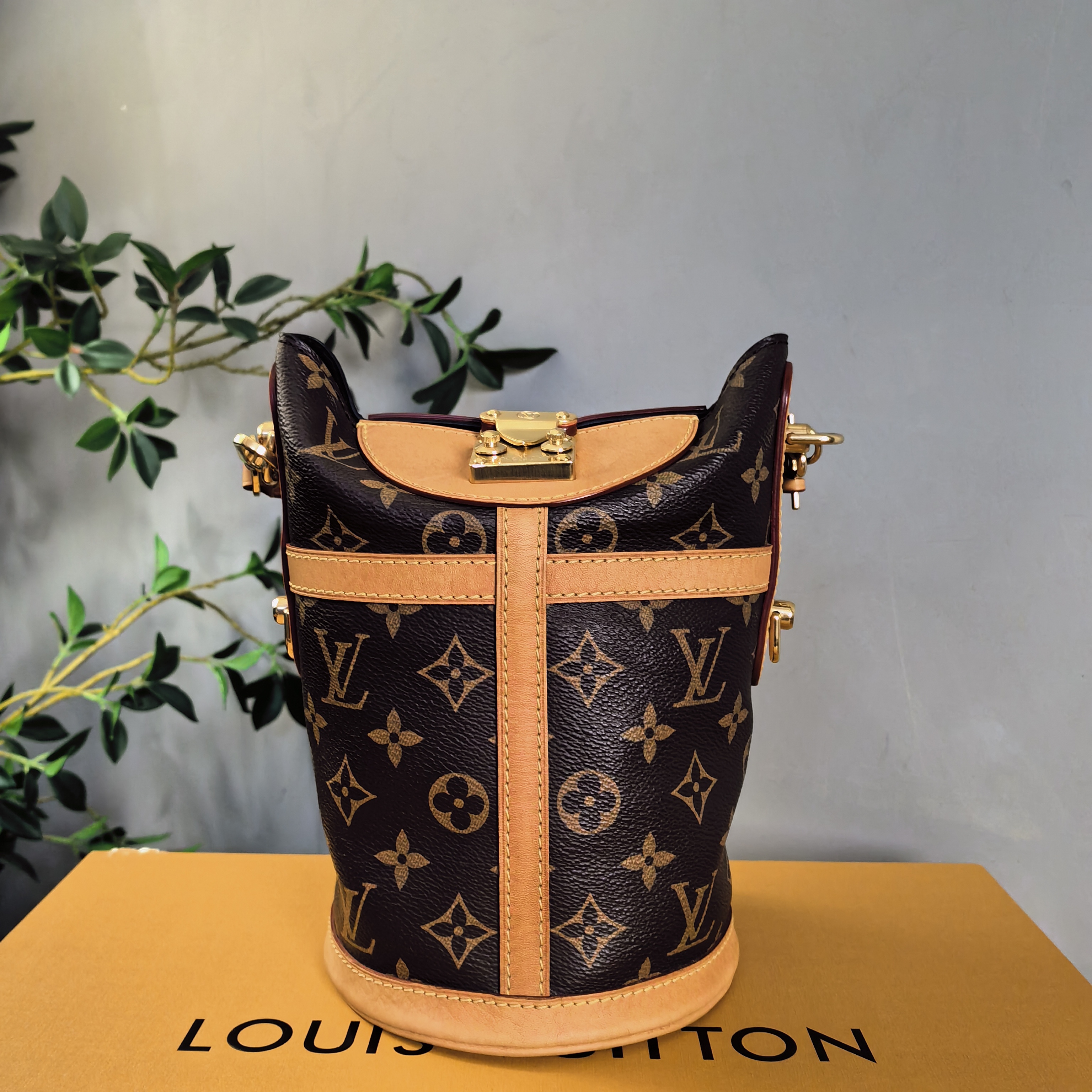 95新 LouisVuitton/路易威登 【小花莛莛】/薯条包/全原