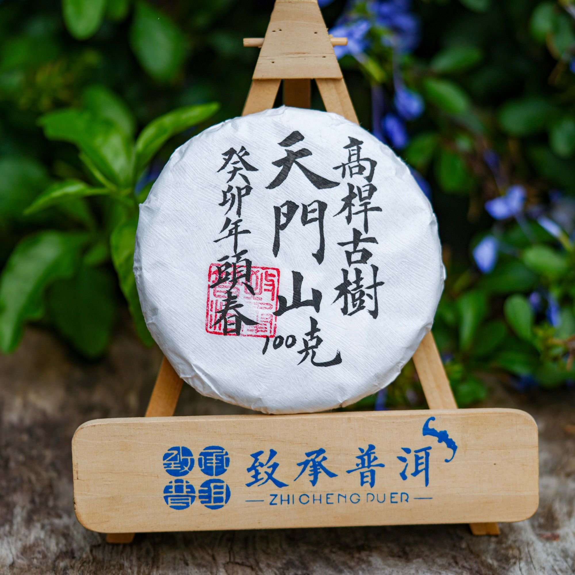 天门山高杆古树头春丨易武 2023年云南普洱生茶古树头春100克饼茶