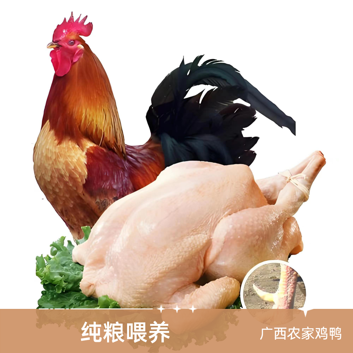 【改价专用】广西农户纯粮喂养老土鸡土鸭土鹅