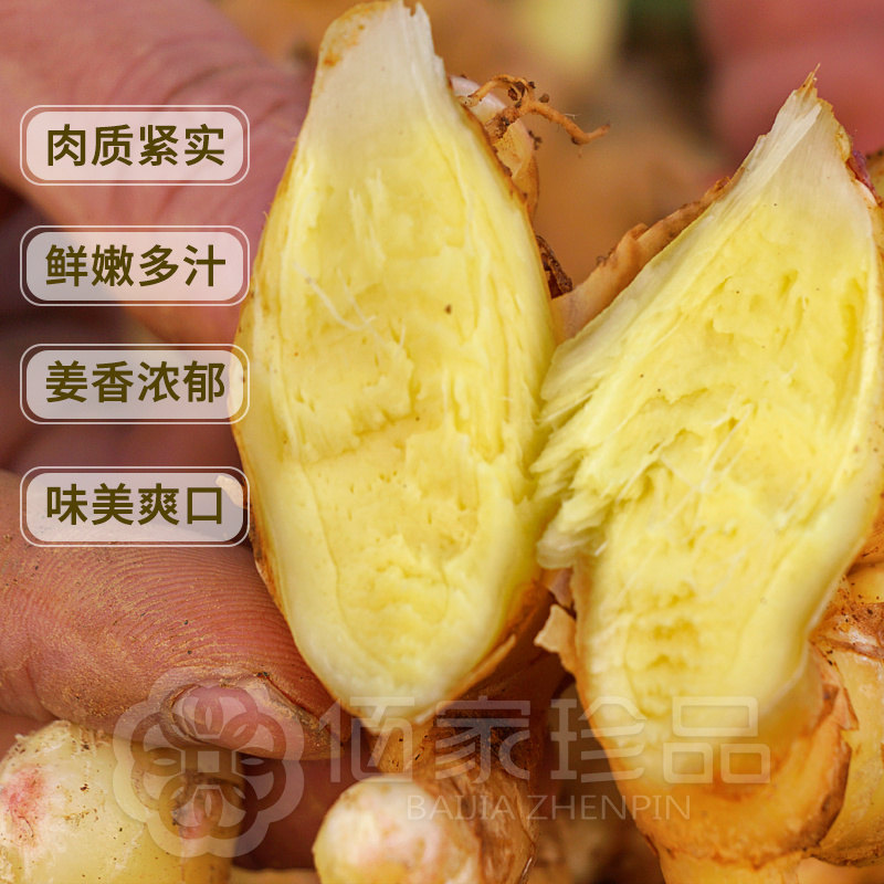 有机带泥小黄姜  肉质紧实 姜香浓郁 营养健康 原产地直发