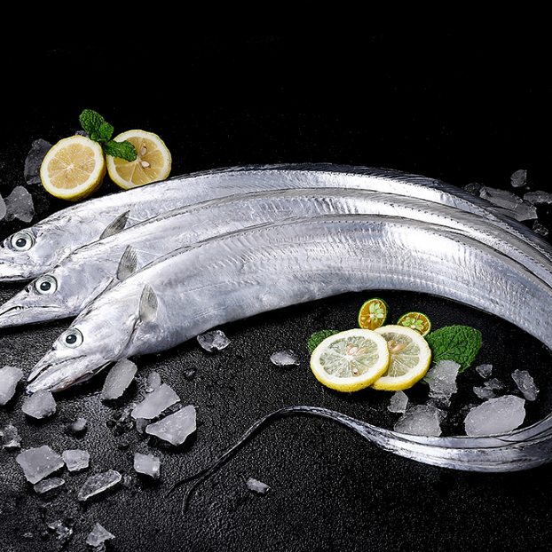 福建小眼带鱼 3-3.5斤