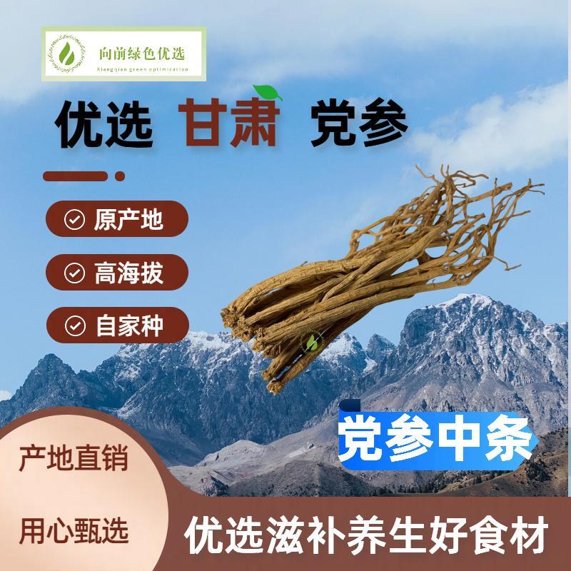 【向前优选】甘肃原产地精选党参条中条党参泡水煲汤产地直销