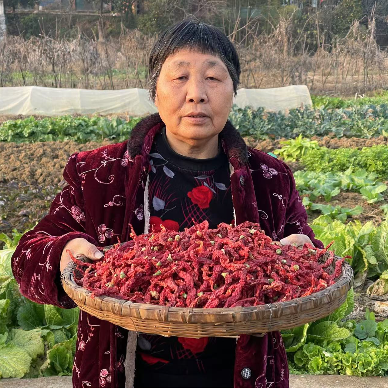 新货上市二荆条微辣超香辣椒干农家干货特产皱皮软皮辣子干红辣椒