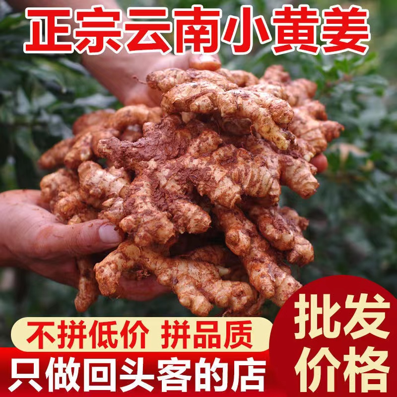 云南高山小黄姜云南老姜0.1/3/5/9斤选包邮月子姜产地直发包邮发s