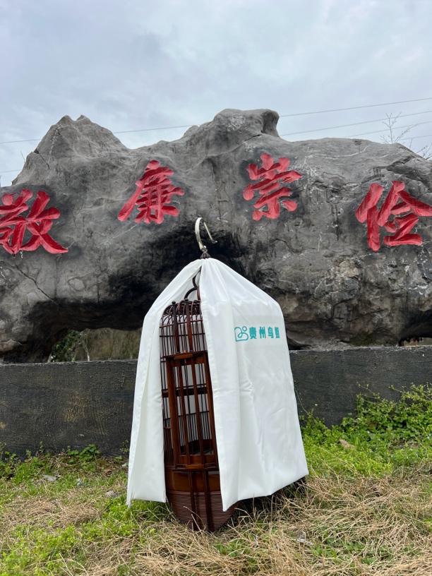 36广笼笼衣一张（贵州鸟姐鸟食）