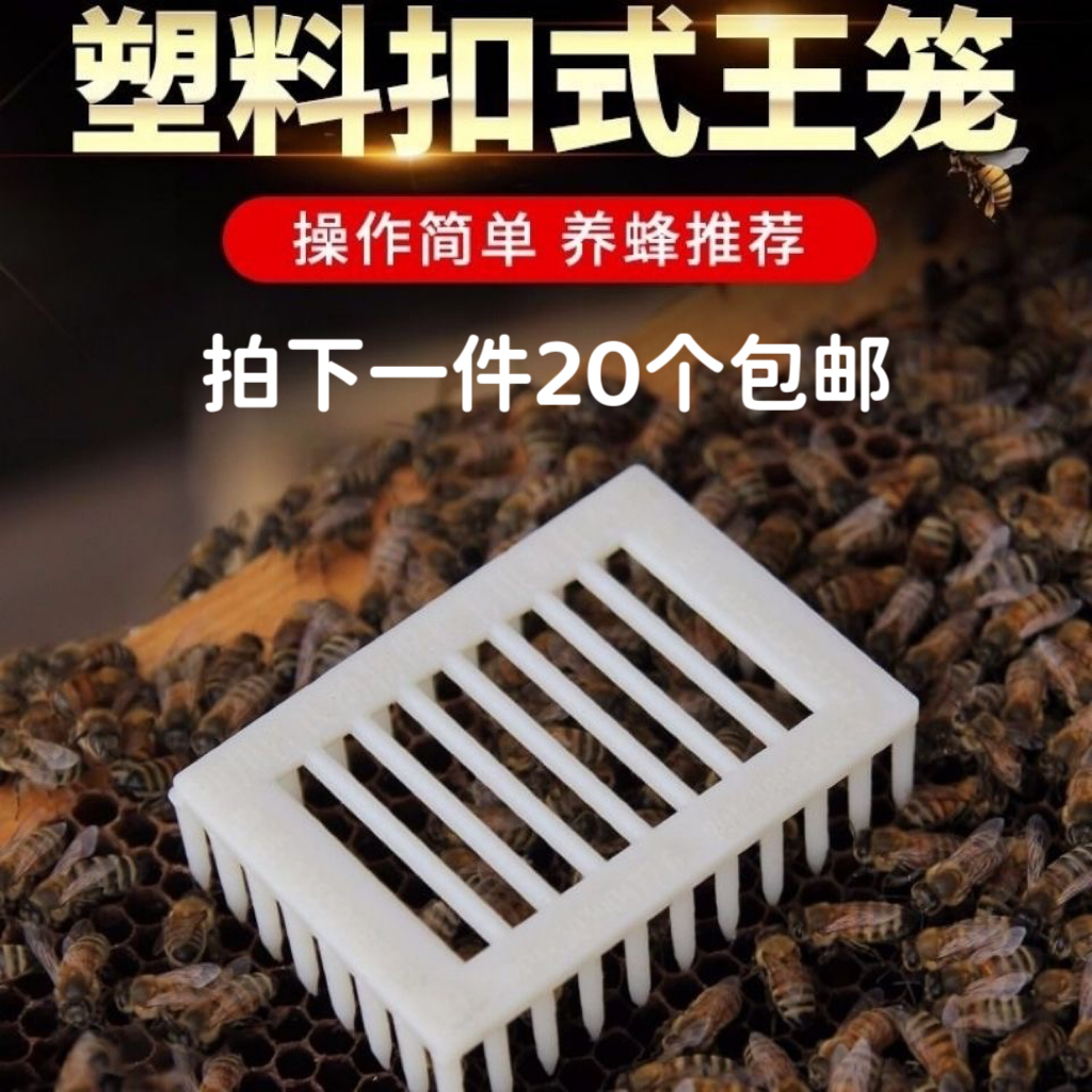 塑料针式王笼囚王笼防蜜蜂皇逃跑多功能控王笼养蜜蜂王笼蜂具