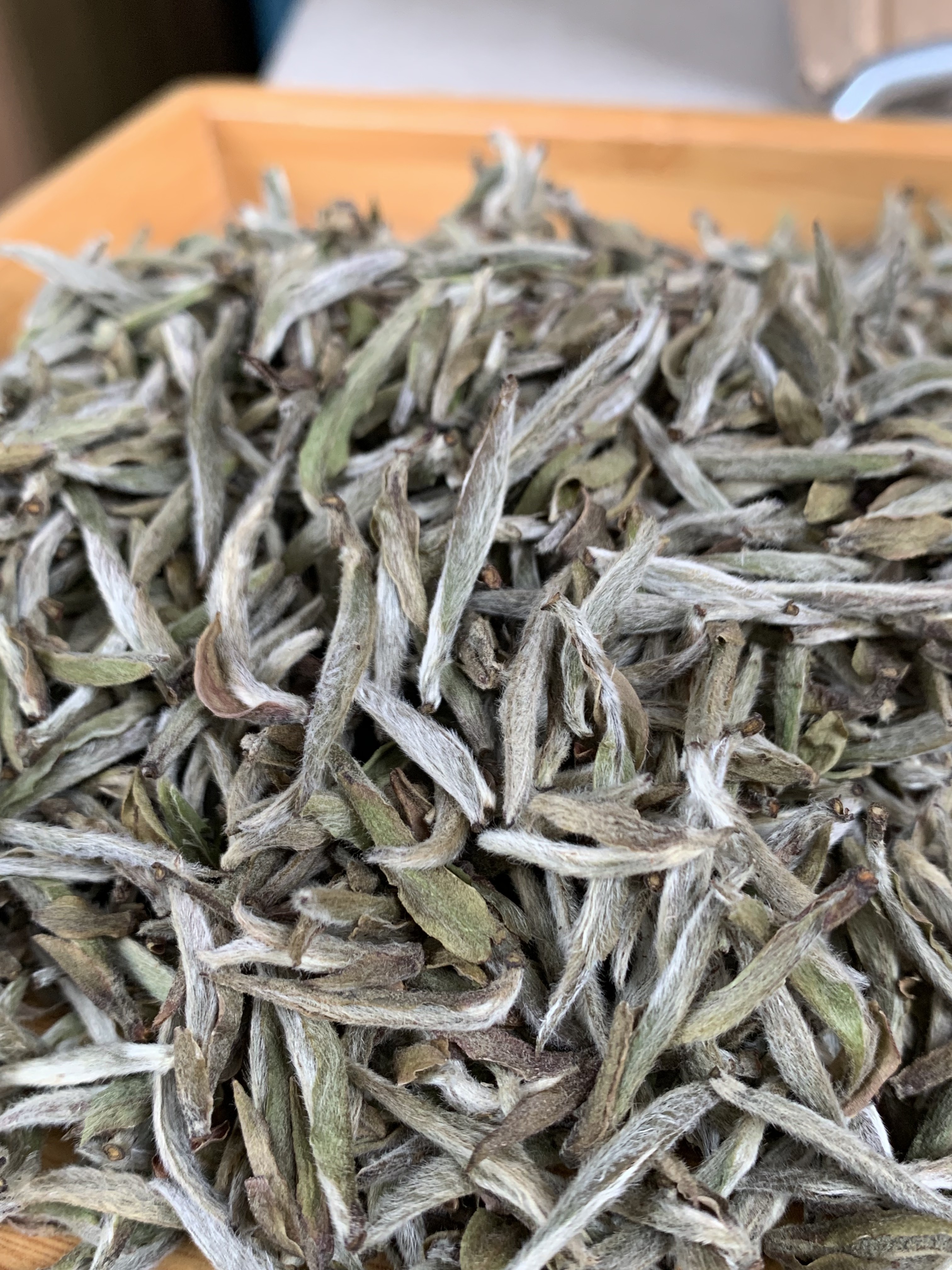 【沁畲茗】2022年福鼎白茶头采荒野白毫银针