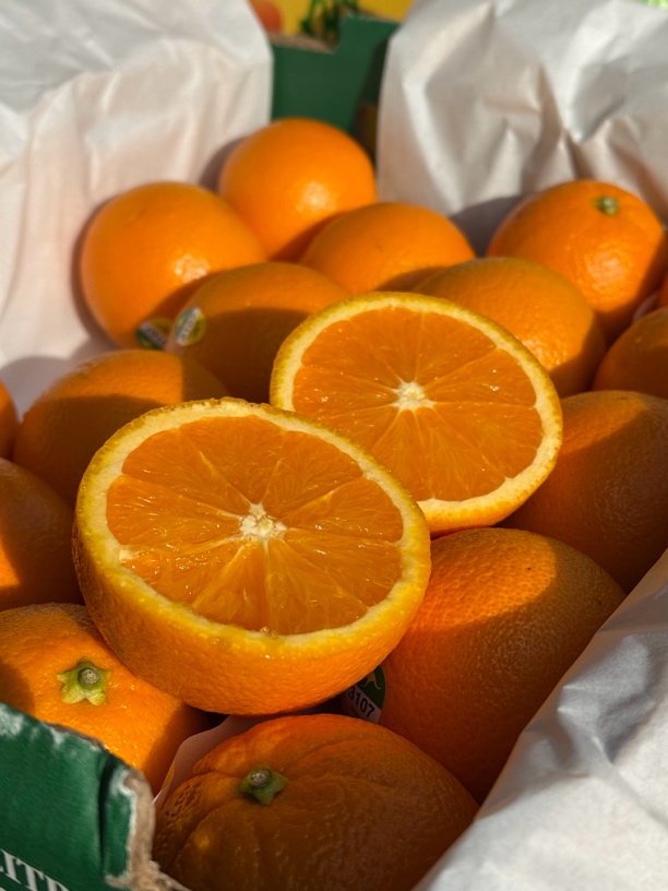 正版·3107澳洲袋鼠橙     口感纯甜，进口澳橙，8枚/份约1800g