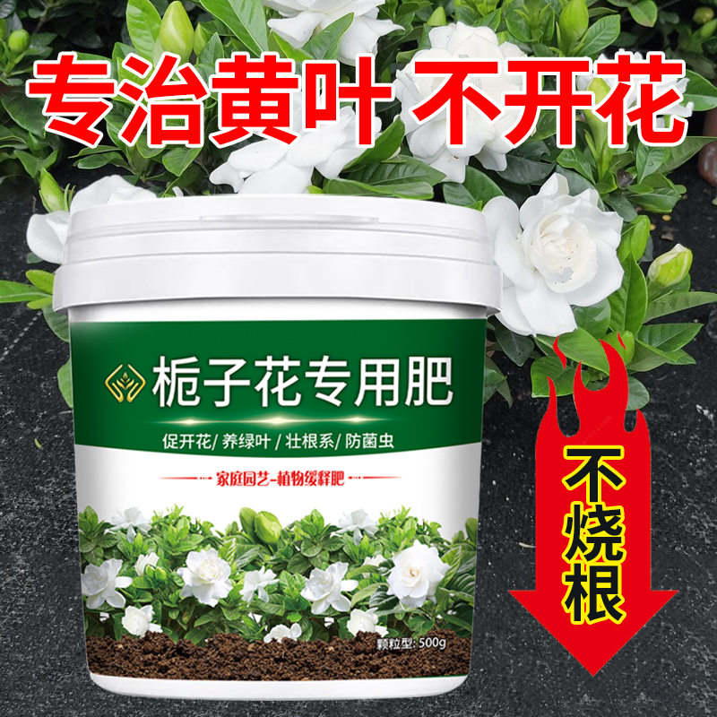 【专治栀子花黄叶不开花】不烧根的有机肥专用缓释营养颗粒叶片油亮
