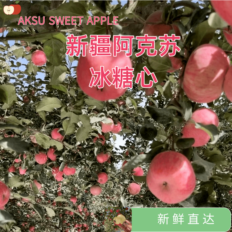 新疆阿克苏冰糖心苹果当季新鲜水果现摘现发正品包邮